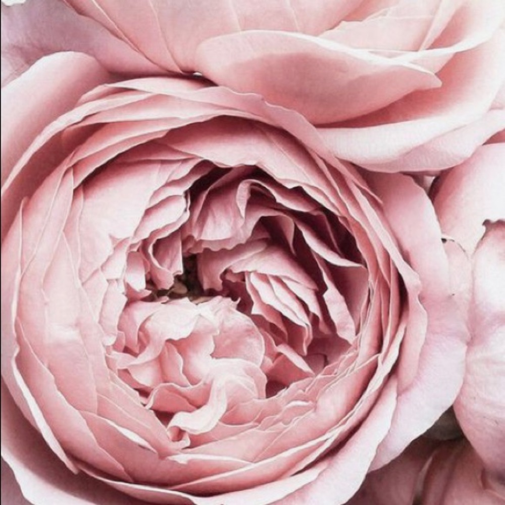 Meet your Posher, Kyla